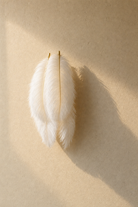 Abat-Jour Applique Murale en Plumes Original – Vela Lune