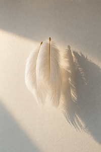 Abat-Jour Applique Murale en Plumes Original – Vela Lune